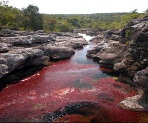 Caño Cristales Fuente 3bpblospot com