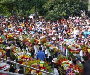 Feria de las Flores Fuente Uff Travel5